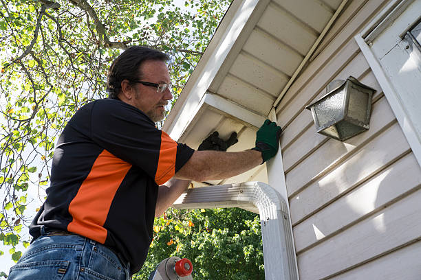 Shed Removal in Woodburn, IN